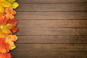 Naklejka na ściany i meble Herbst / Herbstliches auf Holz