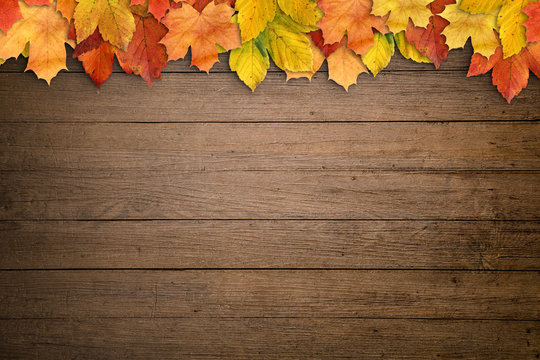 Herbstlicher Hintergrund mit Holz