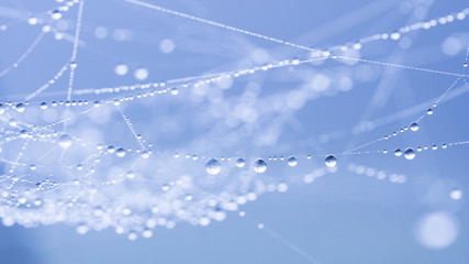 Abstract composition with water drops, spiderwebs and bokeh
