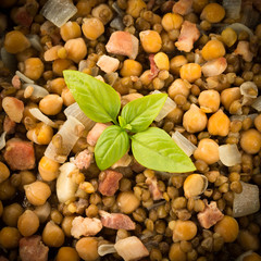 Zuppa ci ceci, lenticchie, cipolla e bacon 