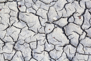 Cracked soil - texture and background