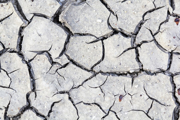 Cracked soil - texture and background