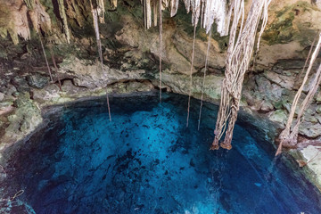 blue cenotes near Cuzama, Mexico