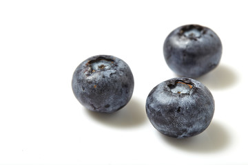 Fresh blueberry