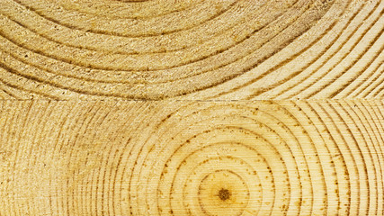 Fototapeta premium Wooden pieces with light grey background