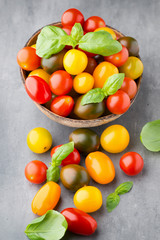 Tomatoes on the gray background. Colorful tomatoes, red tomatoes