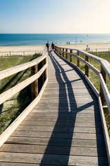 Take me to the beach!