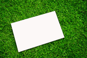 white paper on green field