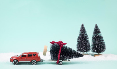 Red car and trailer carrying a Christmas tree.