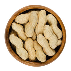 Peanuts with shell in wooden bowl over white, also called groundnut and goober. Dry roasted whole pods of Arachis hypogaea, an oil crop and grain legume. Isolated macro food photo close up from above.