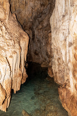 inside cenote near Cuzama, mexico