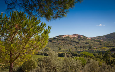 Donoratico, Castagneto Carducci, Livorno - Tuscany