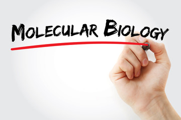 Hand writing Molecular biology with marker, concept background