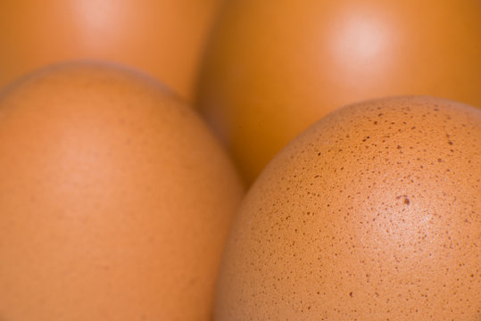 Close up egg shells photos.