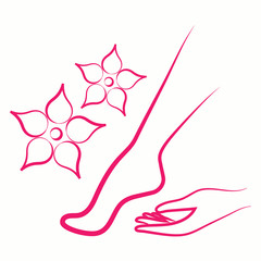 legs foot hand body skin care woman spa massage beauty salon vector pink thin line icon