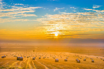 Fototapeta premium Straw bales on agricultural field during sunrise