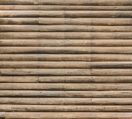 Dove bird sitting in the nest on a palm tree