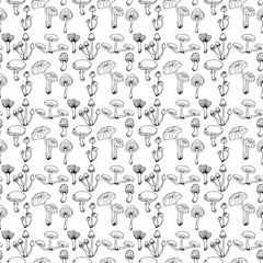 Nature illustration. Natural materials. Forest postcard. Assorted mushrooms. Edible and poisonous mushrooms. Black and white seamless pattern