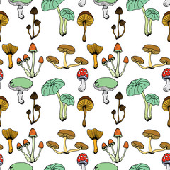 Nature illustration. Natural materials. Forest postcard. Assorted mushrooms. Edible and poisonous mushrooms. Seamless pattern..