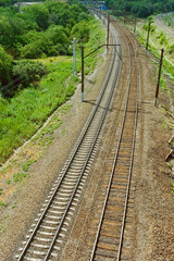 Fototapeta na wymiar Landscape: railroad among green trees