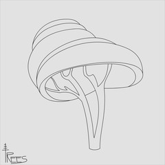 graphic image of tree