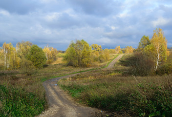 Fototapeta na wymiar Осенний пейзаж с видом извилистой грунтовой дороги, деревьев и облаков 