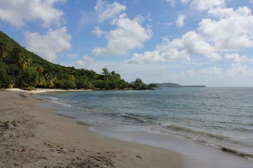 Côte martiniquaise, plage de l'anse Figuier