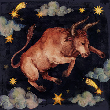 Zodiac sign - Taurus.
Watercolor Illustration.