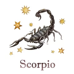 Foto op Plexiglas Zodiac sign - Scorpio.  Watercolor Illustration. © nataliahubbert