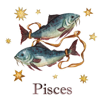 Zodiac sign - Pisces.
Watercolor Illustration.