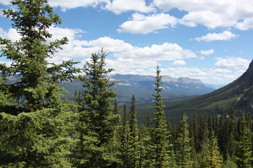 Banff National Park, Alberta, Canada.