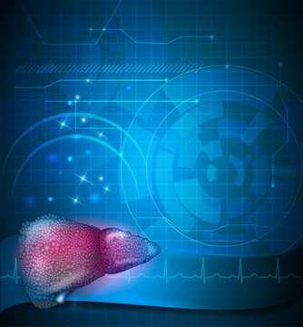 Cirrhosis of the Liver anatomy protection concept illustration, abstract scientific background with normal cardiogram