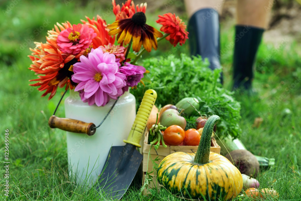 Wall mural autumn arrangement