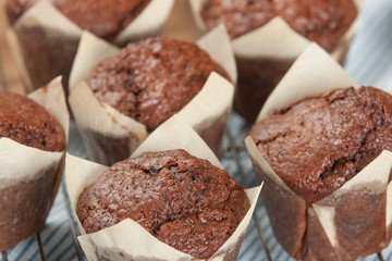 Homebaked Chocolate Muffins In Paper Cases.