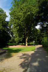 Park mit alten Bäumen