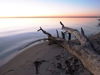driftwood on beach at sunset