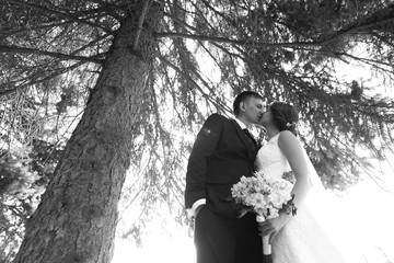 black white photography bride and groom on the background trees