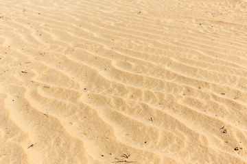 Arabian desert