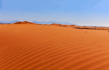 Fototapeta na wymiar Red sand in the Arabian desert