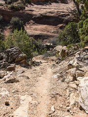 Naklejka na ściany i meble Hiking at Colorado National Monument