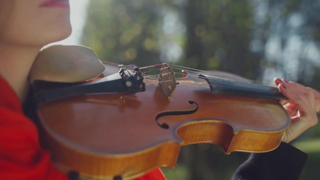 Close-up of a red scarf, a violin on his shoulder. Action in the frame: violinist puts violin to a shoulder and start playing. Start playing music. The movement to the beat of music