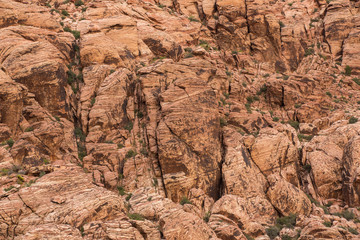 Red Rock Canyon in USA.