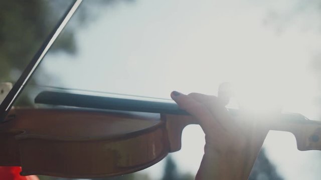 Close-up of fingers of the musician. Finger violinist. Hands of a violinist. The fingers grip the violin strings. The bow on the strings. Female hands musician. Sunlight.