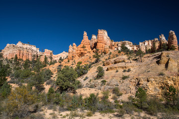 Fototapeta premium Bryce Canyon in Utah, USA.