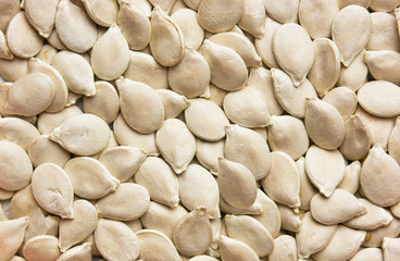 dried seeds of pumpkin