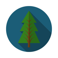 Flat design modern vector illustration of pine tree icon, with long shadow