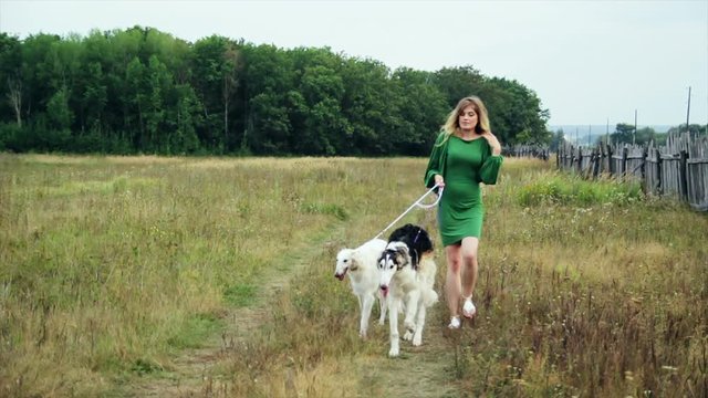 girl in green dress with two Russian greyhounds