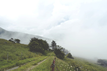 Yatsugatae mountains, Nagano Prefecture, Japan. 2016