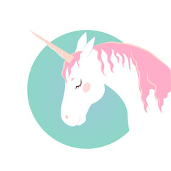 Vector image of a unicorn t-shirt, print,