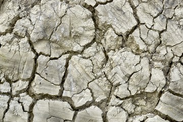 Earth texture